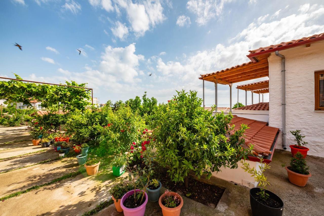 Luiza Guest house