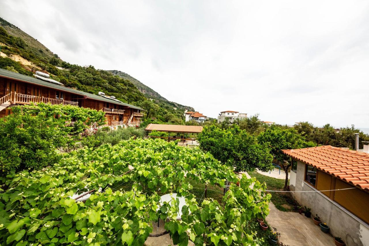 Guest house Luiza Borsh